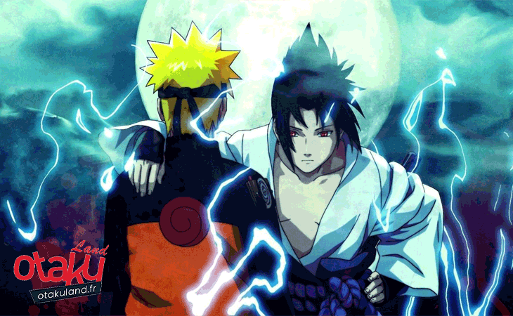 Naruto et Sasuke - Otakuland