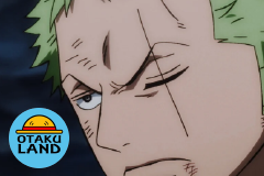 Zoro de One Piece