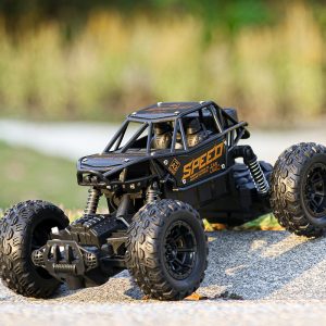 Voiture télécommandée tout-terrain 1:16